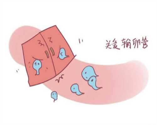 国内做供卵的机构排名,2025南昌试管助孕生子费用公示，真没20万那么贵